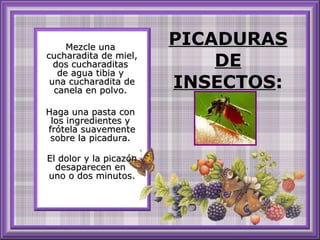 PICADURAS DE INSECTOS :   Mezcle una  cucharadita de miel, dos cucharaditas  de agua tibia y  una cucharadita de canela en polvo.  Haga una pasta con  los ingredientes y  frótela suavemente sobre la picadura.  El dolor y la picazón desaparecen en  uno o dos minutos. 