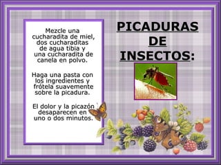 PICADURASPICADURAS
DEDE
INSECTOSINSECTOS::
Mezcle unaMezcle una
cucharadita de miel,cucharadita de miel,
dos cucharaditasdos cucharaditas
de agua tibia yde agua tibia y
una cucharadita deuna cucharadita de
canela en polvo.canela en polvo.
Haga una pasta conHaga una pasta con
los ingredientes ylos ingredientes y
frótela suavementefrótela suavemente
sobre la picadura.sobre la picadura.
El dolor y la picazónEl dolor y la picazón
desaparecen endesaparecen en
uno o dos minutos.uno o dos minutos.
 