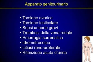 Apparato genitourinario


• Torsione ovarica
• Torsione testicolare
• Sepsi urinarie gravi
• Trombosi della vena renale
• Emorragia surrenalica
• Idrometrocolpo
• Litiasi reno-ureterale
• Ritenzione acuta d’urina
 