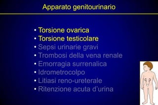 Apparato genitourinario


• Torsione ovarica
• Torsione testicolare
• Sepsi urinarie gravi
• Trombosi della vena renale
• Emorragia surrenalica
• Idrometrocolpo
• Litiasi reno-ureterale
• Ritenzione acuta d’urina
 
