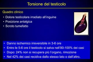 Torsione del testicolo
Quadro clinico
• Dolore testicolare irradiato all’inguine
• Posizione antalgica
• Scroto tumefatto




•   Danno ischemico irreversibile in 3-6 ore
•   Entro le 5-6 ore il testicolo si salva nell’80-100% dei casi
•   Dopo: 24% non si recupera più l’organo, rimozione
•   Nel 42% dei casi recidiva dallo stesso lato o dall’altro.
 