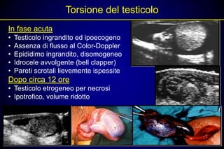 Torsione del testicolo
In fase acuta
•   Testicolo ingrandito ed ipoecogeno
•   Assenza di flusso al Color-Doppler
•   Epididimo ingrandito, disomogeneo
•   Idrocele avvolgente (bell clapper)
•   Pareti scrotali lievemente ispessite
Dopo circa 12 ore
• Testicolo etrogeneo per necrosi
• Ipotrofico, volume ridotto
 