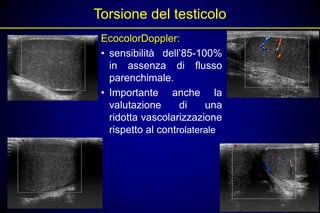 Torsione del testicolo
 EcocolorDoppler:
 • sensibilità dell’85-100%
   in assenza di flusso
   parenchimale.
 • Importante anche la
   valutazione      di    una
   ridotta vascolarizzazione
   rispetto al controlaterale
 