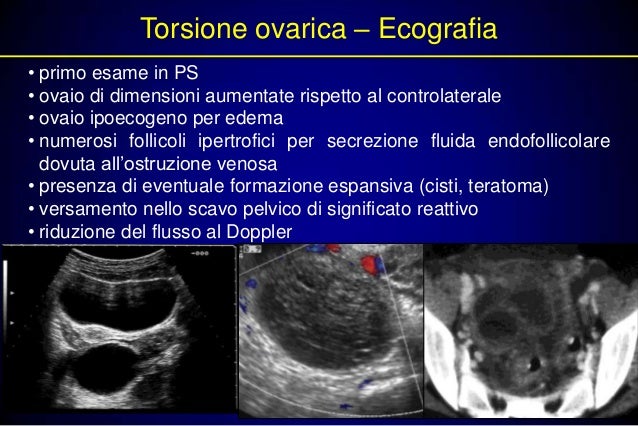Corpo Luteo Emorragico Si Riassorbe