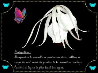 Indigestion :
Saupoudrer la cannelle en poudre sur deux cuillères à
soupe de miel avant de prendre de la nourriture soulage
l'acidité et digère le plus lourd des repas.
 