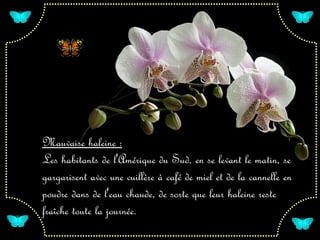 Mauvaise haleine :
Les habitants de l'Amérique du Sud, en se levant le matin, se
gargarisent avec une cuillère à café de miel et de la cannelle en
poudre dans de l'eau chaude, de sorte que leur haleine reste
fraîche toute la journée.
 
