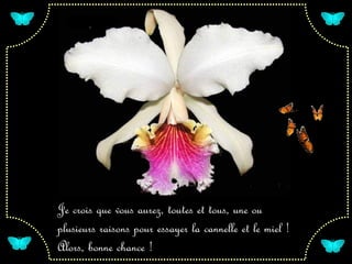 Je crois que vous aurez, toutes et tous, une ou
plusieurs raisons pour essayer la cannelle et le miel !
Alors, bonne chance !
 