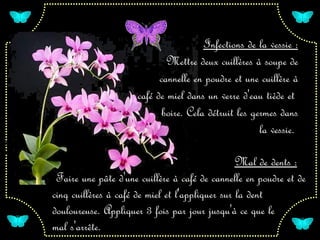 Infections de la vessie :
                             Mettre deux cuillères à soupe de
                           cannelle en poudre et une cuillère à
                     café de miel dans un verre d'eau tiède et
                            boire. Cela détruit les germes dans
                                                      la vessie.

                                                 Mal de dents :
 Faire une pâte d'une cuillère à café de cannelle en poudre et de
cinq cuillères à café de miel et l'appliquer sur la dent
douloureuse. Appliquer 3 fois par jour jusqu'à ce que le
mal s'arrête.
 