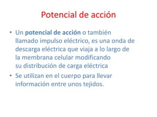 Potencial de acción
• Un potencial de acción o también
  llamado impulso eléctrico, es una onda de
  descarga eléctrica que viaja a lo largo de
  la membrana celular modificando
  su distribución de carga eléctrica
• Se utilizan en el cuerpo para llevar
  información entre unos tejidos.
 