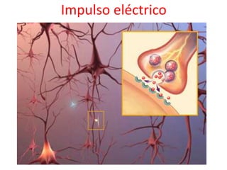 Impulso eléctrico
 