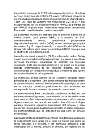 La proteína homóloga de PLP (proteína proteolipídica) en el sistena
nervioso periférico es la proteína P0, cuyas mutaciones provocan la
enfermedad neuropáticaconocidacomo síndrome de Charcot-Marie-
Tooth (CMT) tipo 1B. La forma más frecuente de CMT es la 1A que
está provocada por una duplicacióndel gen PMP22; las pérdidas del
gen PMP22 originan otras neuropatías hereditarias denominada
Propensión hereditaria a las parálisis de presión.
La Esclerosis múltiple es probable que la proteína básica de la
mielina (myelin basic protein MBP), y la proteína del SNC
cuantitativamente menor, denominada glucoproteína
oligodendrocitaria de la mielina (MOG), actúen como antígenos para
las células T y B, respectivamente. La ubicación del MOG en la
lámina más externa de la cubierta de mielina del SNC hace que sea
el objetivo de los autoanticuerpos.
La esclerosis lateral amiotrófica (ELA) o enfermedad de Lou Gehrig
es una enfermedad neurológica progresiva, que ataca a las células
nerviosas (neuronas) encargadas de controlar los músculos
voluntarios. Esta enfermedad pertenece a un grupo de dolencias
llamado enfermedades de las neuronas motoras, que son
caracterizadas por la degeneracióngradual y muerte de este tipo de
neuronas y finalmente del organismo.
La mielinolisis central pontina es un síndrome conocido desde
principios de la décadade 1960,consiste enuna desmielinizaciónde
la sustancia blanca cerebral. Su mecanismo fisiopatológico se basa
en los cambios osmóticos producidos en esta estructura en
corregirse de forma brusca una hiponatremia preexistente.
La enfermedad de Baló o esclerosis concéntrica de Baló es una
enfermedad neurológica rara, caracterizada por la desmielinización
en el cerebro. Esta enfermedad afecta típicamente a niños, aunque
algunos casos se han descrito en adultos. Los síntomas incluyen
parálisis progresiva, espasmos involuntarios del músculo, y otros
problemas neurológicos.Las lesionesconsistenenplacas irregulares
de desmielinización que se extienden en una serie de círculos
concéntricos.
Las leucodistrofiason trastornos genéticos hereditarios resultante de
la degeneración de la grasa de la vaina de mielina que cubre las
fibras nerviosas del cerebro, y las glándulas adrenales. Esta
destrucción de la mielina, puede ser primaria, por defecto de las
 
