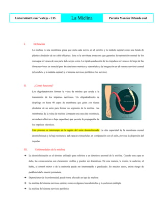 Universidad Cesar Vallejo - CIS La Mielina Paredes Monzon Orlando Joel
I. Definición
La mielina es una membrana grasa que aísla cada nervio en el cerebro y la médula espinal como una funda de
plástico alrededor de un cable eléctrico. Esta es la envoltura protectora que garantiza la transmisión normal de los
mensajes nerviosos de una parte del cuerpo a otra. La rápida conducción de los impulsos nerviosos a lo largo de las
fibras nerviosas es esencial para las funciones motrices y sensoriales y la integración en el sistema nervioso central
(el cerebelo y la médula espinal) y el sistema nervioso periférico (los nervios).
II. ¿Cómo funciona?
Los oligodendrocitos forman la vaina de mielina que ayuda a la
transmisión de los impulsos nerviosos. Un oligodendrocito se
despliega en hasta 40 capas de membrana que giran con fuerza
alrededor de un axón para formar un segmento de la mielina. Las
membranas de la vaina de mielina compacta crea una alta resistencia,
un aislante eléctrico a baja capacidad, que permite la propagación de
los impulsos eléctricos.
Este proceso se interrumpe en la región del axón desmielinizada. La alta capacidad de la membrana axonal
desmielinizada y la baja resistencia del espacio extracelular, en comparación con el axón, provoca la dispersión del
impulso.
III. Enfermedades de la mielina
➔ La desmielinización es el término utilizado para referirse a un deterioro anormal de la mielina. Cuando esta capa se
daña, las consecuencias son claramente visibles y pueden ser dramáticas. De esta manera, la visión, la audición, el
habla, el control motor o de la memoria puede ser interrumpido o paralizado. En muchos casos, existe riesgo de
parálisis total o muerte prematura.
➔ Dependiendo de la enfermedad, puede verse afectado un tipo de mielina:
➔ La mielina del sistema nervioso central, como en algunos leucodistrofias y la esclerosis múltiple
➔ La mielina del sistema nervioso periférico
 