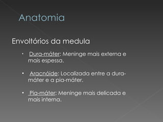 Envoltórios da medula Dura-máter : Meninge mais externa e mais espessa. Aracnóide : Localizada entre a dura-máter e a pia-máter. Pia-máter : Meninge mais delicada e mais interna. 