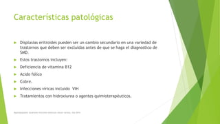  Displasias eritroides pueden ser un cambio secundario en una variedad de
trastornos que deben ser excluidas antes de que se haga el diagnostico de
SMD.
 Estos trastornos incluyen:
 Deficiencia de vitamina B12
 Acido fólico
 Cobre.
 Infecciones víricas incluido VIH
 Tratamientos con hidroxiurea o agentes quimioterapéuticos.
Características patológicas
Myelodysplastic Syndrome Overview American cáncer society. Año 2014
 