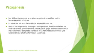 Patogénesis
 Los SMD probablemente se originen a partir de una célula madre
hematopoyética primitiva.
 La mutación inicial o vía molecular aun es desconocida.
 Dada la heterogeneidad histológica y citogenética, la enfermedad en sus
diversas formas, probablemente constituye un grupo de entidades distintas
molecularmente con grados variables de la hematopoyesis ineficaz y la
susceptibilidad a la transformación leucémica.
 
