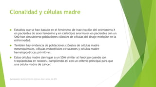 Clonalidad y células madre
 Estudios que se han basado en el fenómeno de inactivación del cromosoma X
en pacientes de sexo femenino y en cariotipos anormales en pacientes con un
SMD han descubierto poblaciones clónales de células del linaje mieloide en la
enfermedad.
 También hay evidencia de poblaciones clónales de células madre
mesenquimales, células endoteliales circulantes y células madre
hematopoyéticas primitivas.
 Estas células madre dan lugar a un SDM similar al fenotipo cuando son
trasplantados en ratones, cumpliendo así con un criterio principal para que
una célula madre de cáncer.
Myelodysplastic Syndrome Overview American cáncer society. Año 2014
 