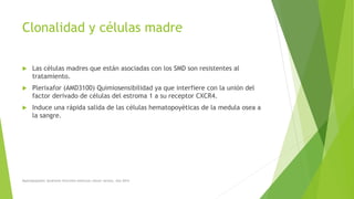 Clonalidad y células madre
 Las células madres que están asociadas con los SMD son resistentes al
tratamiento.
 Plerixafor (AMD3100) Quimiosensibilidad ya que interfiere con la unión del
factor derivado de células del estroma 1 a su receptor CXCR4.
 Induce una rápida salida de las células hematopoyéticas de la medula osea a
la sangre.
Myelodysplastic Syndrome Overview American cáncer society. Año 2014
 