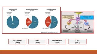 JAK2 V617F
(2005)
MPL
(2006)
JAK2 Exón 12
(2007)
CALR
(2013)
 