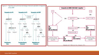 Guías NMP Española
 