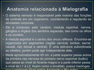 • O sistema nervoso é responsável pela maioria das funções
de controle em um organismo, coordenando e regulando as
atividades corporais.
• Ele é composto pelo cérebro, medula espinhal, nervos,
gânglios e órgãos dos sentidos espaciais, tais como os olhos
e os ouvidos.
• A medula espinhal é o centro dos arcos reflexos. Encontra-se
organizada em segmentos (região cervical, lombar, sacral,
caudal, raiz dorsal e ventral). É uma estrutura subordinada
ao cérebro, porém pode agir independente dele.
• Mede aproximadamente 45 cm, a parte superior passa acima
da primeira raiz nervosa do primeiro nervo espinhal (bulbo)
que passa ao nível do forame magno e a parte inferior passa
a nível de L1 à L2. Assim como o encéfalo, possui meninges

 