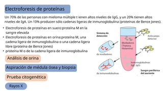 Electroforesis de proteínas
Aspiración de médula ósea y biopsia
Análisis de orina
Un 70% de las personas con mieloma múltiple t ienen altos niveles de IgG, y un 20% tienen altos
niveles de IgA. Un 10% producen sólo cadenas ligeras de inmunoglobulina (proteínas de Bence Jones).
• Electroforesis de proteínas en suero:proteína M en la
sangre elevada
• Electroforesis de proteínas en orina:proteína M, una
cadena ligera de inmunoglobulina o una cadena ligera
libre (proteína de Bence Jones)
• proteína M o de la cadena ligera de inmunoglobulina
Prueba citogenética
Rayos X
 