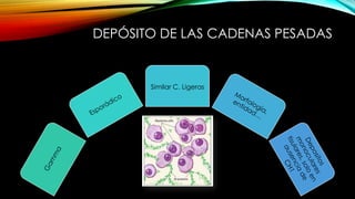 DEPÓSITO DE LAS CADENAS PESADAS
Similar C. Ligeras
 