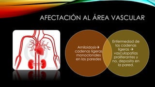 AFECTACIÓN AL ÁREA VASCULAR
Amiloidosis
cadenas ligeras
monoclonales
en las paredes
Enfermedad de
las cadenas
ligeras 
vasculopatías
proliferantes y
no, deposito en
la pared.
 