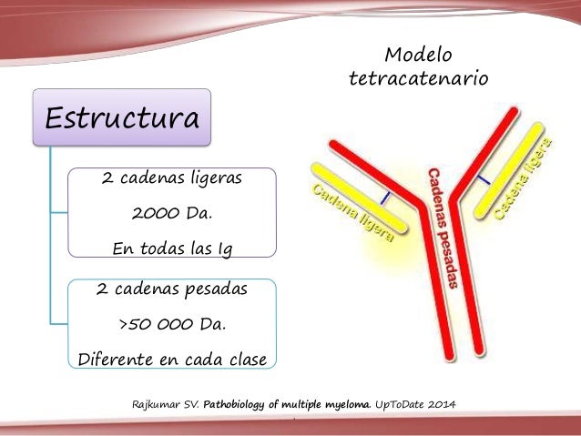mieloma cadenas kappa mieloma m 250 ltiple mieloma cadenas kappa mieloma m 250 ltiple