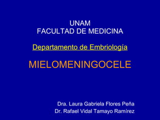 UNAM FACULTAD DE MEDICINA Departamento de Embriología MIELOMENINGOCELE Dra. Laura Gabriela Flores Peña Dr. Rafael Vidal Tamayo Ramírez 