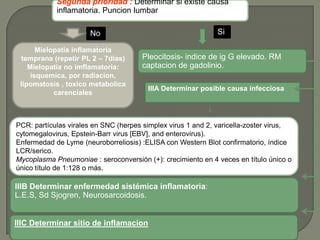 Segunda prioridad : Determinar si existe causa
            inflamatoria. Puncion lumbar

                      No                                      Si

       Mielopatia inflamatoria
 temprana (repetir PL 2 – 7dias)      Pleocitosis- indice de ig G elevado. RM
    Mielopatia no imflamatoria:       captacion de gadolinio.
     isquemica, por radiacion,
 lipomatosis , toxico metabolica
                                        IIIA Determinar posible causa infecciosa
            carenciales



PCR: partículas virales en SNC (herpes simplex virus 1 and 2, varicella-zoster virus,
cytomegalovirus, Epstein-Barr virus [EBV], and enterovirus).
Enfermedad de Lyme (neuroborreliosis) :ELISA con Western Blot confirmatorio, índice
LCR/serico.
Mycoplasma Pneumoniae : seroconversión (+): crecimiento en 4 veces en título único o
único título de 1:128 o más.

IIIB Determinar enfermedad sistémica inflamatoria:
L.E.S, Sd Sjogren, Neurosarcoidosis.


IIIC Determinar sitio de inflamacion
 