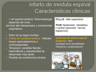  > art espinal anterior. Sintomatologia      C3 y c5 : falla respiratoria
  depende del nivel.
cervical alto tetraparesia y compromiso       T4-t9: hipotension ortostatica
  respiratorio                                ( control vasomotor nervios
                                              esplacnico)
   Dolor en la region lumbar
   Infarto art cerebral anterior : Afectan   sindrome de arteria espinal
    haces espinotalamicos y                   posterior : raro
    corticoespinales .                        perdidad de la sensibilidad
                                              vibratoria y propiocepcion
   Temprano: paralisis flacida ;
    hiperreflexia y espasticidad se
    desarrolan mas tarde.
   Perdida de continencia urinaria
 
