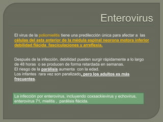 El virus de la poliomielitis tiene una predilección única para afectar a las
células del asta anterior de la médula espinal neorona motora inferior
debilidad flácida fasciculaciones y arreflexia.


Después de la infección, debilidad pueden surgir rápidamente a lo largo
de 48 horas o se producen de forma retardada en semanas.
El riesgo de la parálisis aumenta con la edad.
Los infantes rara vez son paralizado, pero los adultos es más
frecuentes.



La infección por enterovirus, incluyendo coxsackievirus y echovirus,
enterovirus 71, mielitis , parálisis flácida.
 