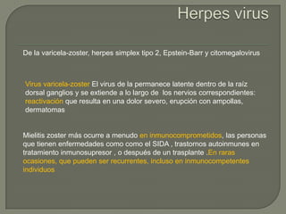 De la varicela-zoster, herpes simplex tipo 2, Epstein-Barr y citomegalovirus



Virus varicela-zoster El virus de la permanece latente dentro de la raíz
dorsal ganglios y se extiende a lo largo de los nervios correspondientes:
reactivación que resulta en una dolor severo, erupción con ampollas,
dermatomas


Mielitis zoster más ocurre a menudo en inmunocomprometidos, las personas
que tienen enfermedades como como el SIDA , trastornos autoinmunes en
tratamiento inmunosupresor , o después de un trasplante .En raras
ocasiones, que pueden ser recurrentes, incluso en inmunocompetentes
individuos
 