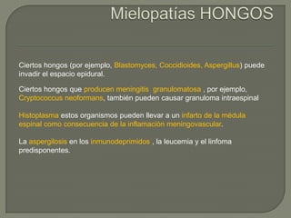Ciertos hongos (por ejemplo, Blastomyces, Coccidioides, Aspergillus) puede
invadir el espacio epidural.

Ciertos hongos que producen meningitis granulomatosa , por ejemplo,
Cryptococcus neoformans, también pueden causar granuloma intraespinal

Histoplasma estos organismos pueden llevar a un infarto de la médula
espinal como consecuencia de la inflamación meningovascular.

La aspergilosis en los inmunodeprimidos , la leucemia y el linfoma
predisponentes.
 