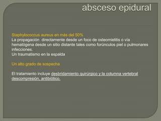 Staphylococcus aureus en más del 50%
La propagación directamente desde un foco de osteomielitis o vía
hematógena desde un sitio distante tales como forúnculos piel o pulmonares
infecciones.
Un traumatismo en la espalda

Un alto grado de sospecha

El tratamiento incluye desbridamiento quirúrgico y la columna vertebral
descompresión, antibiótico.
 