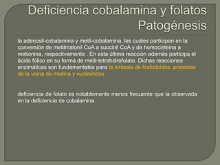 la adenosil-cobalamina y metil-cobalamina, las cuales participan en la
conversión de metilmalonil CoA a succinil CoA y de homocisteina a
metionina, respectivamente . En esta última reacción además participa el
ácido fólico en su forma de metil-tetrahidrofolato. Dichas reacciones
enzimáticas son fundamentales para la síntesis de fosfolípidos, proteinas
de la vaina de mielina y nucleótidos


deficiencia de folato es notablemente menos frecuente que la observada
en la deficiencia de cobalamina
 