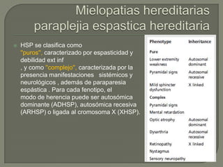    HSP se clasifica como
    ''puros'', caracterizado por espasticidad y
    debilidad ext inf
    , y como ''complejo'', caracterizada por la
    presencia manifestaciones sistémicos y
    neurológicos , además de paraparesia
    espástica . Para cada fenotipo, el
    modo de herencia puede ser autosómica
    dominante (ADHSP), autosómica recesiva
    (ARHSP) o ligada al cromosoma X (XHSP).
 