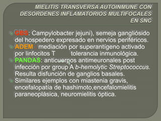  GBS:   Campylobacter jejuni), semeja gangliósido
  del hospedero expresado en nervios periféricos.
 ADEM : mediación por superantígeno activado
  por linfocitos T    tolerancia inmunológica.
 PANDAS: anticuerpos antimeuronales post
  infección por group A b-hemolytic Streptococcus.
  Resulta disfunción de ganglios basales.
 Similares ejemplos con miastenia gravis,
  encefalopatía de hashimoto,encefalomielitis
  paraneoplásica, neuromielitis óptica.
 