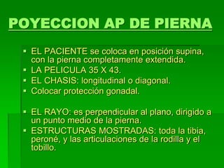 POYECCION AP DE PIERNA
 EL PACIENTE se coloca en posición supina,
con la pierna completamente extendida.
 LA PELICULA 35 X 43.
 EL CHASIS: longitudinal o diagonal.
 Colocar protección gonadal.
 EL RAYO: es perpendicular al plano, dirigido a
un punto medio de la pierna.
 ESTRUCTURAS MOSTRADAS: toda la tibia,
peroné, y las articulaciones de la rodilla y el
tobillo.
 