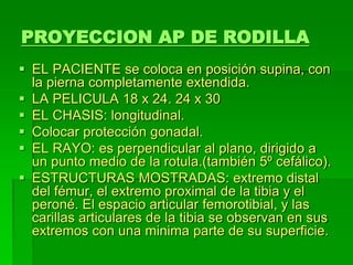 PROYECCION AP DE RODILLA
 EL PACIENTE se coloca en posición supina, con
la pierna completamente extendida.
 LA PELICULA 18 x 24. 24 x 30
 EL CHASIS: longitudinal.
 Colocar protección gonadal.
 EL RAYO: es perpendicular al plano, dirigido a
un punto medio de la rotula.(también 5º cefálico).
 ESTRUCTURAS MOSTRADAS: extremo distal
del fémur, el extremo proximal de la tibia y el
peroné. El espacio articular femorotibial, y las
carillas articulares de la tibia se observan en sus
extremos con una minima parte de su superficie.
 