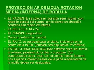 PROYECCION AP OBLICUA ROTACION
MEDIA (INTERNA) DE RODILLA
 EL PACIENTE se coloca en posición semi supina, con
rotación parcial del cuerpo con la pierna en dirección
contraria a la región de interés.
 LA PELICULA 18 x 24.
 EL CHASIS: longitudinal.
 Colocar protección gonadal.
 EL RAYO: es perpendicular al plano. Incidiendo en el
centro de la rotula. (también con angulación 5º cefálica).
 ESTRUCTURAS MOSTRADAS: extremo distal del fémur,
el extremo proximal de la tibia y el peroné. Con
superposición de la rotula con el condilo medio femoral.
Los espacios interarticulares de la parte media lateral de
la rodilla deben ser desiguales.
 