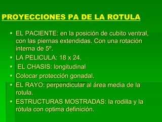 PROYECCIONES PA DE LA ROTULA
 EL PACIENTE: en la posición de cubito ventral,
con las piernas extendidas. Con una rotación
interna de 5º.
 LA PELICULA: 18 x 24.
 EL CHASIS: longitudinal
 Colocar protección gonadal.
 EL RAYO: perpendicular al área media de la
rotula.
 ESTRUCTURAS MOSTRADAS: la rodilla y la
rótula con optima definición.
 