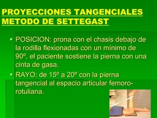 PROYECCIONES TANGENCIALES
METODO DE SETTEGAST
 POSICION: prona con el chasis debajo de
la rodilla flexionadas con un mínimo de
90º, el paciente sostiene la pierna con una
cinta de gasa.
 RAYO: de 15º a 20º con la pierna
tangencial al espacio articular femoro-
rotuliana.
 