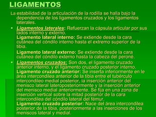 LIGAMENTOS
La estabilidad de la articulación de la rodilla se halla bajo la
dependencia de los ligamentos cruzados y los ligamentos
laterales.
 Ligamentos laterales: Refuerzan la cápsula articular por sus
lados interno y externo.
Ligamento lateral interno: Se extiende desde la cara
cutánea del cóndilo interno hasta el extremo superior de la
tibia.
Ligamento lateral externo: Se extiende desde la cara
cutánea del cóndilo externo hasta la cabeza del peroné.
 Ligamentos cruzados: Son dos, el ligamento cruzado
anterior interno, y el ligamento cruzado posterior interno.
Ligamento cruzado anterior: Se inserta inferiormente en le
área intercondilea anterior de la tibia entre el tubérculo
intercondileo medial posterior, la inserción anterior del
menisco lateral lateroposteriormente y la inserción anterior
del menisco medial anteriormente. Se fija en una zona de
inserción vertical sobre la mitad posterior de la cara
intercondilea del cóndilo lateral del fémur.
Ligamento cruzado posterior: Nace del área intercondilea
posterior de la tibia, posteriormente a las inserciones de los
meniscos lateral y medial.
 