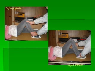 Cajón posterior
Cajón anterior
 