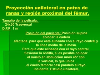 Proyección unilateral en patas de
ranas y región proximal del fémur.
Tamaño de la película:
24x30 Trasversal
D.F.P: 1 m
Posición del paciente: Posición supina
colocar la cadera
afectada para que este alineada con el rayo central y
la línea media de la mesa.
Para que este alineada con el rayo central,
flexionar la rodilla, si es posible colocar
el muslo en abducción unos 45º con
la vertical, lo que ubica
el cuello femoral casi paralelo al rayo
incidente. Estudio unilateral.
 