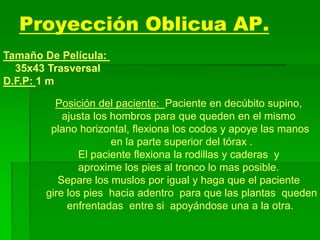 Proyección Oblicua AP.
Tamaño De Película:
35x43 Trasversal
D.F.P: 1 m
Posición del paciente: Paciente en decúbito supino,
ajusta los hombros para que queden en el mismo
plano horizontal, flexiona los codos y apoye las manos
en la parte superior del tórax .
El paciente flexiona la rodillas y caderas y
aproxime los pies al tronco lo mas posible.
Separe los muslos por igual y haga que el paciente
gire los pies hacia adentro para que las plantas queden
enfrentadas entre si apoyándose una a la otra.
 