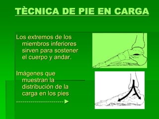 TÈCNICA DE PIE EN CARGA
Los extremos de los
miembros inferiores
sirven para sostener
el cuerpo y andar.
Imágenes que
muestran la
distribución de la
carga en los pies
-----------------------►
 
