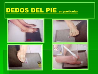 DEDOS DEL PIE en particular
 