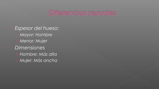    Espesor del hueso:
    › Mayor: Hombre
    › Menor: Mujer
   Dimensiones
    › Hombre: Más alta
    › Mujer: Más ancha
 